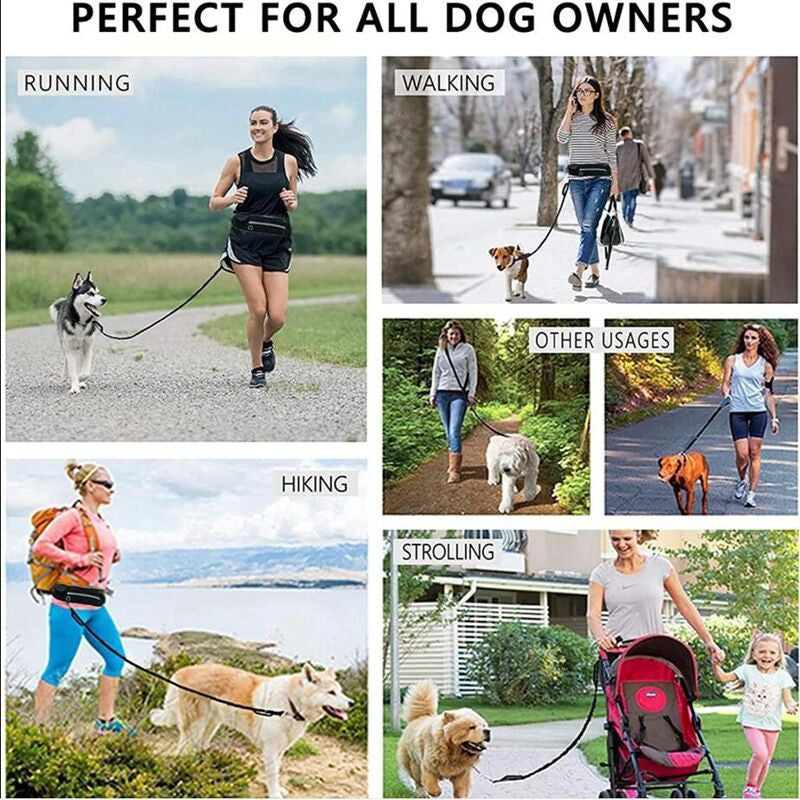 Hands-Free Pet Leash | Detachable Traction Rope | Built-in Pouch